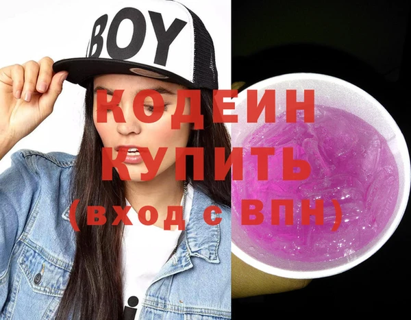 амф Новозыбков