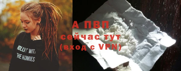 ПСИЛОЦИБИНОВЫЕ ГРИБЫ Новокубанск