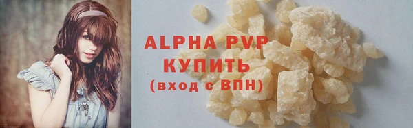 амф Новозыбков