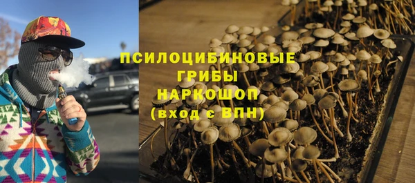 дживик Новодвинск