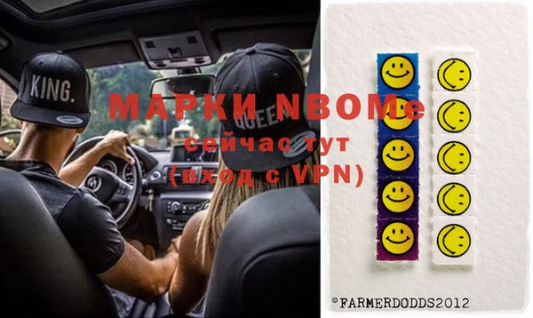 амф Новозыбков