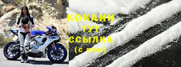 ПСИЛОЦИБИНОВЫЕ ГРИБЫ Новокубанск