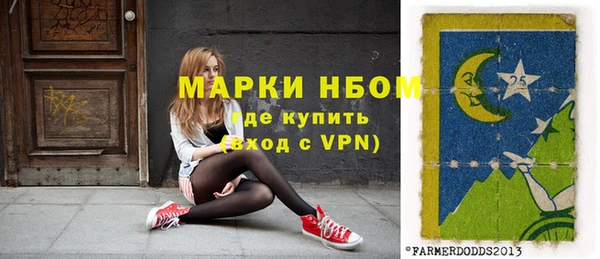 амф Новозыбков