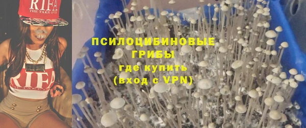 амф Новозыбков