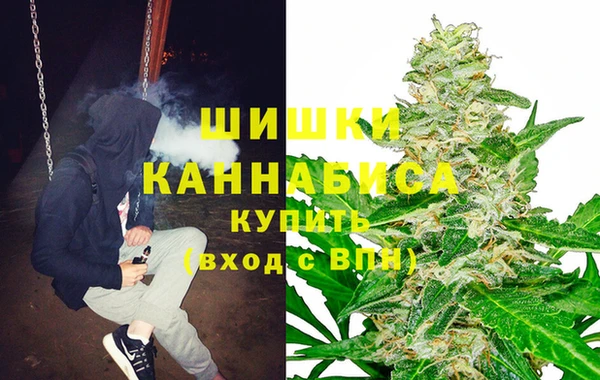 амф Новозыбков