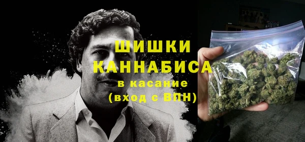 ПСИЛОЦИБИНОВЫЕ ГРИБЫ Новокубанск
