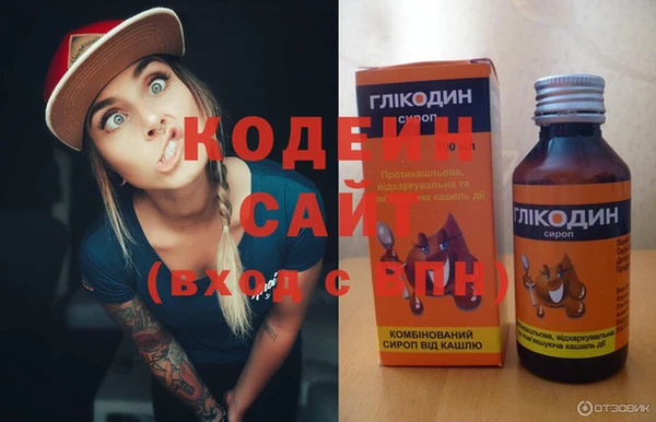 амф Новозыбков