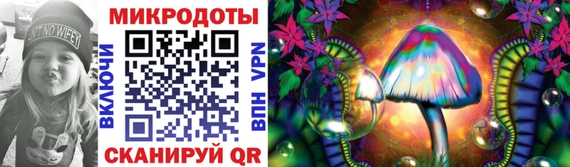магазин продажи наркотиков Кондопога Галлюциногенные грибы Psilocybine cubensis