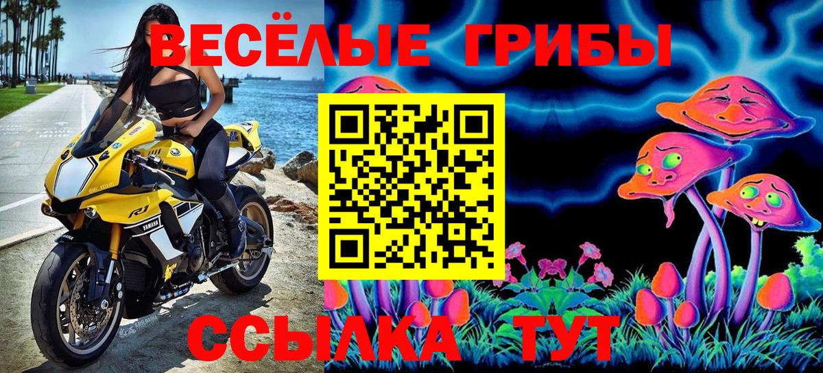 Галлюциногенные грибы Cubensis  Вход с VPN  Кондопога  Псилоцибиновые грибы Psilocybe 